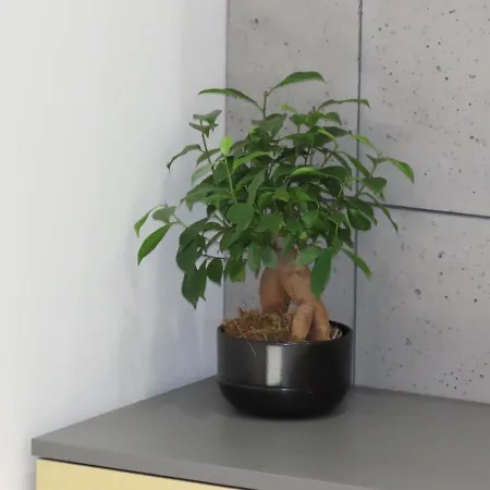 Appartamento El - Solaris *