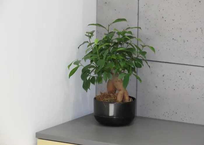 Apartman El - Solaris *